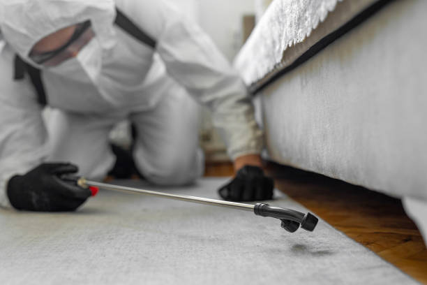 Professional Termite Control technician working in Sebastian, FL