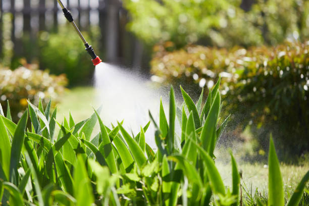 24/7 Emergency Termite Control experts in Sebastian, FL
